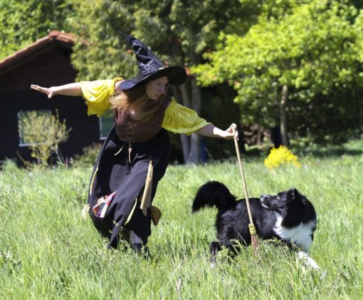Trick & Dogdance-Club – pro Jahr