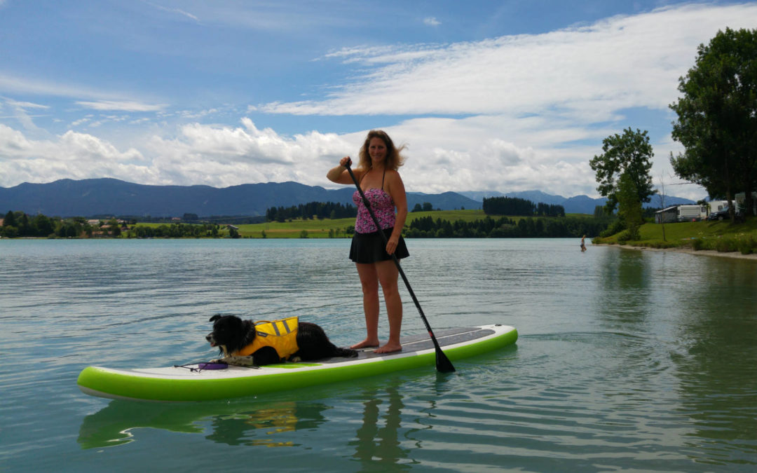 Standup Paddling mit Hund