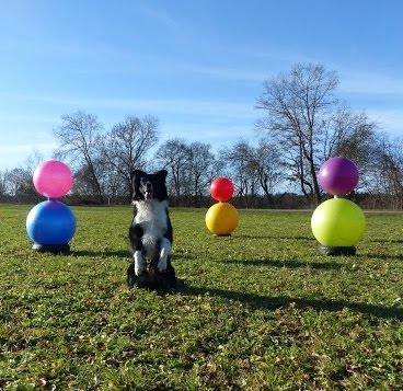 Die Treibball Schneemann Challenge – Mitmach-Aktion – Einsendeschluss 26. Februar 2020