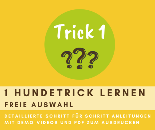 Einen Hundetrick lernen (freie Auswahl)