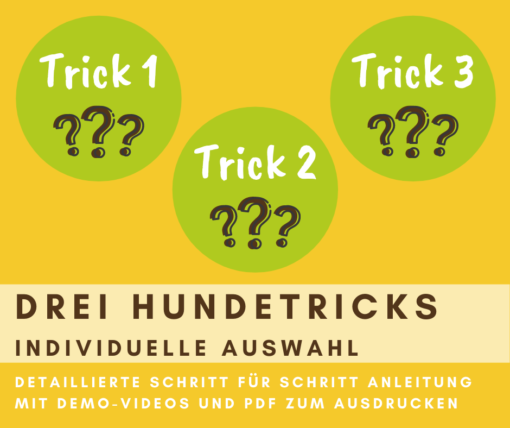 Drei Hundetricks lernen (freie Auswahl)