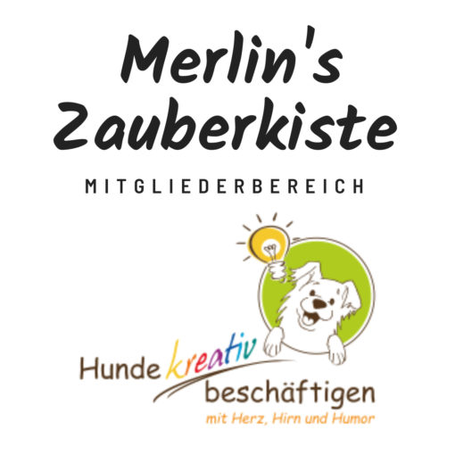 Merlins Zauberkiste – Clubmitgliedschaft “Standard” – monatlich