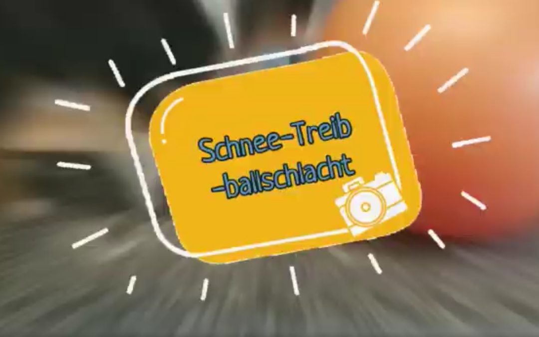 Treibball-Challenge SCHNEEBALLSCHLACHT – Mitmach-Aktion! Jetzt seid ihr dran!