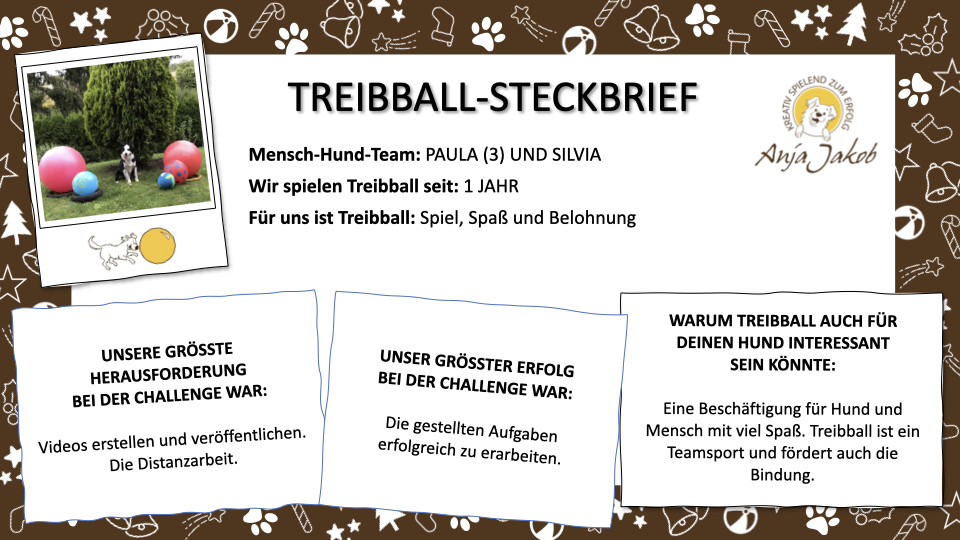 Steckbrief_Treibball_Adventskalender_Paula