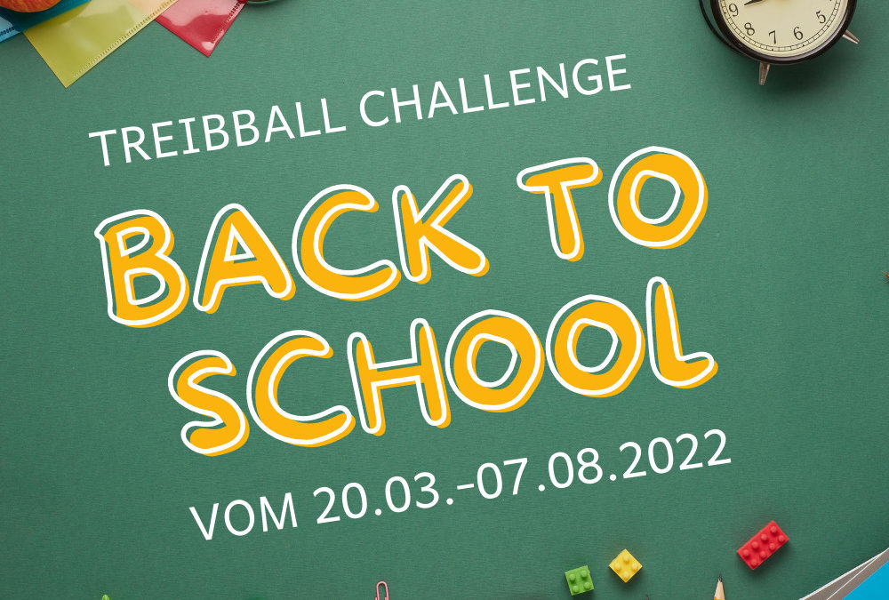 Kurs C 4 | Treibball-Challenge – Back to school – vom 20.03.-07.08.