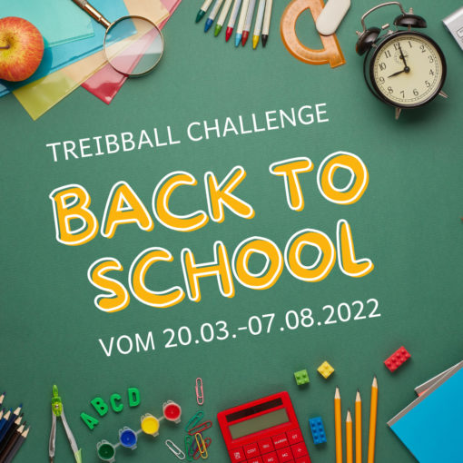 Kurs C 4 | Treibball-Challenge - "Back to school" - Selbstlernkurs