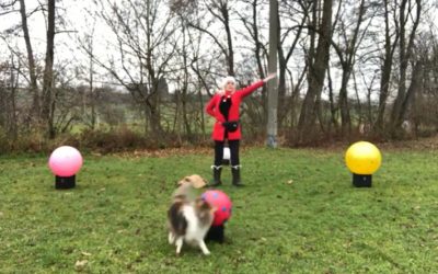 Treibball-Challenge ADVENTSKRANZ – Mitmach-Aktion! Jetzt seid ihr dran!