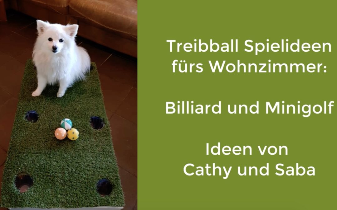 Treibball – Spielideen für Zuhause und im Wohnzimmer – Minigolf und Billiard
