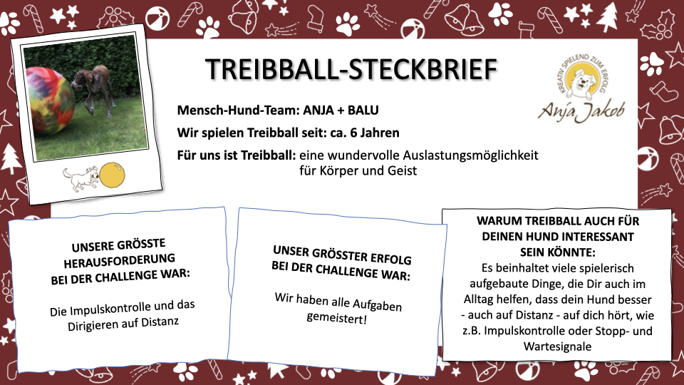 Treibball Steckbrief Balu