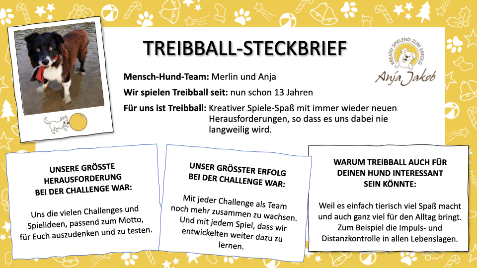 Treibball_Adventkalender_Anja und Merlin Steckbrief