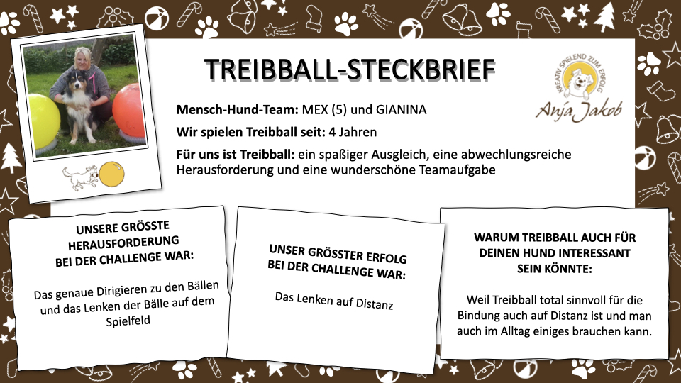 Treibball_Adventkalender_BRAUN Gianina Ahke und Mex Steckbrief