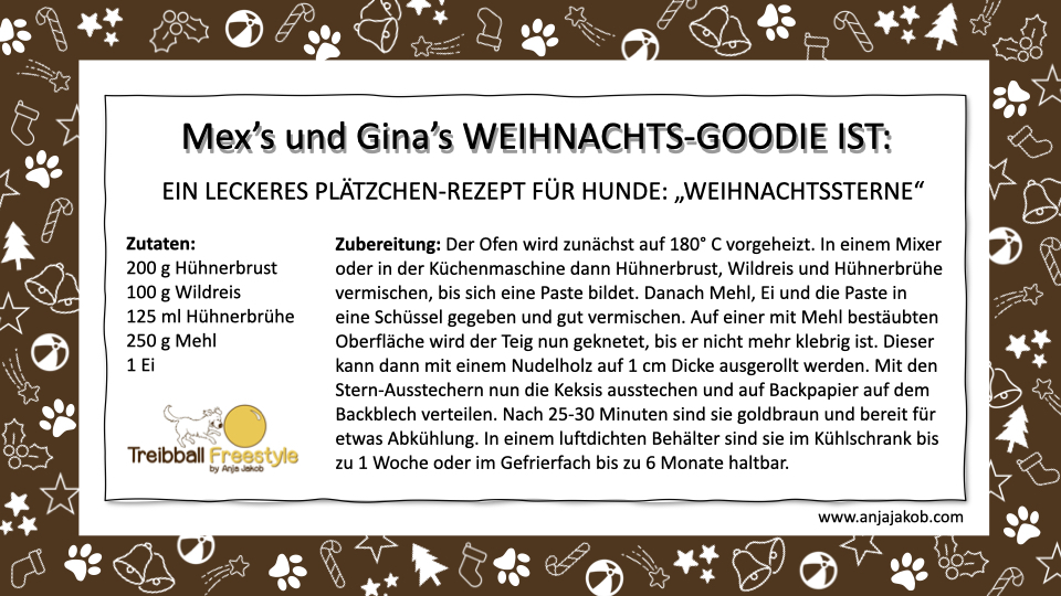 Treibball_Adventkalender_BRAUN Gianina Ahke und Mex Weihnachtssterne