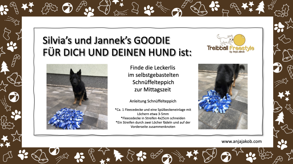 Treibball_Adventkalender_Jannek_Schnueffeldecke