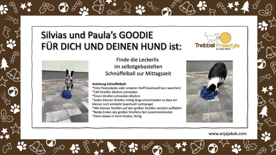 Treibball_Adventkalender_Paula_Schnueffelball