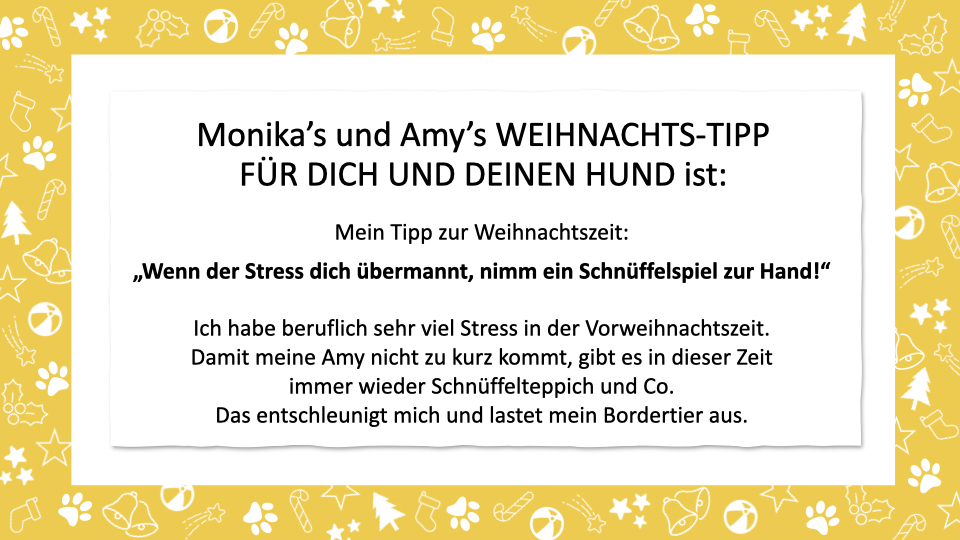 Treibball_Adventkalender_Tipp Schnueffelspiel