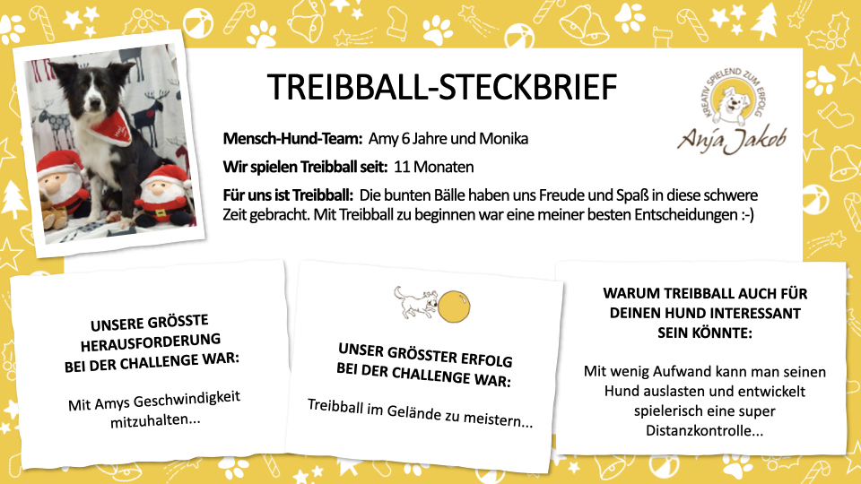 Treibball_Steckbrief Monika Amy