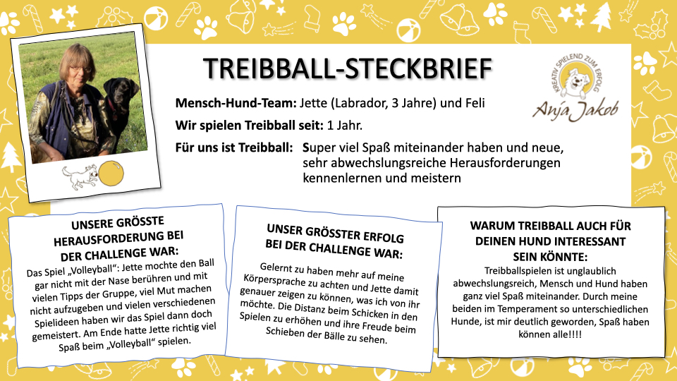 Treibball_Steckbrief_Jette_und_Feli