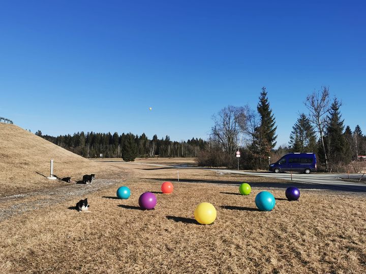 Treibball Aufgabe – Der Schneemann – im Rahmen der Treibball Open