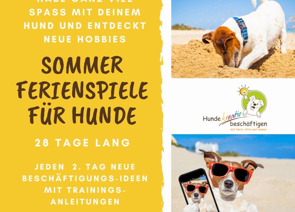 Sommerferienspiele für Hunde