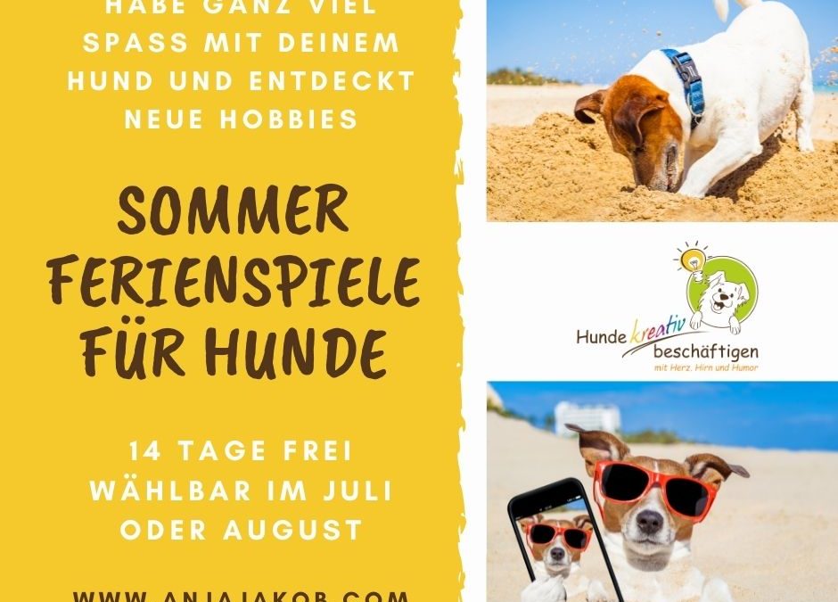 Sommerferienspiele für Hunde – dauerhaft