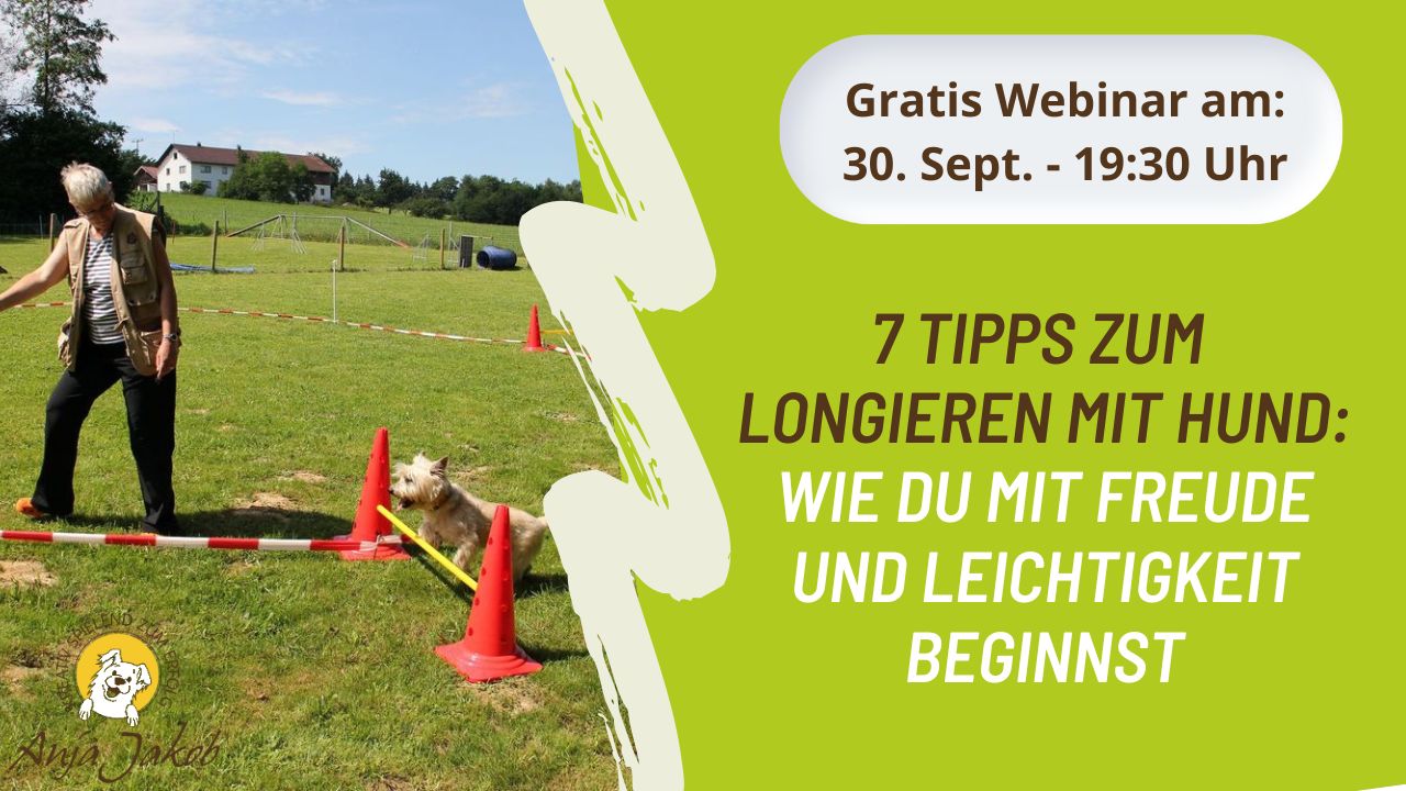 LONGIER-WEBINAR 1