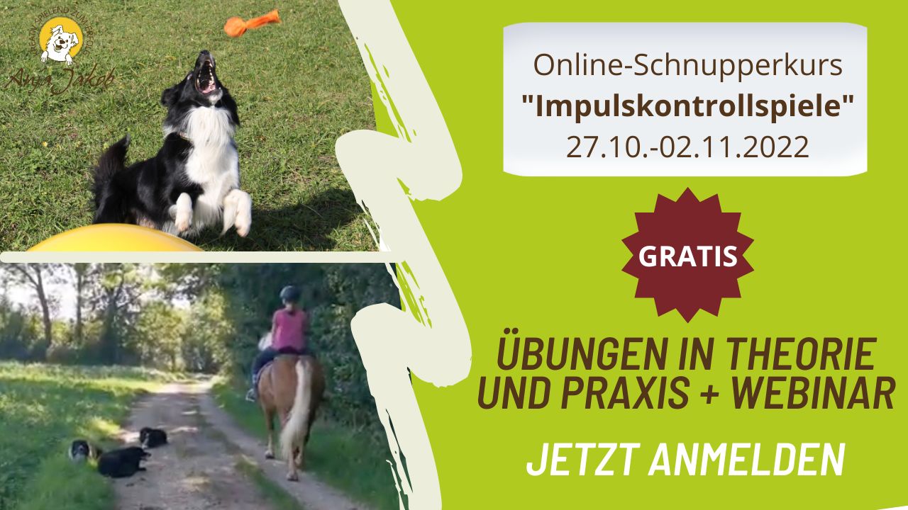 Ausschreibung gratis Schnupperkurs Impulskontrollspiele