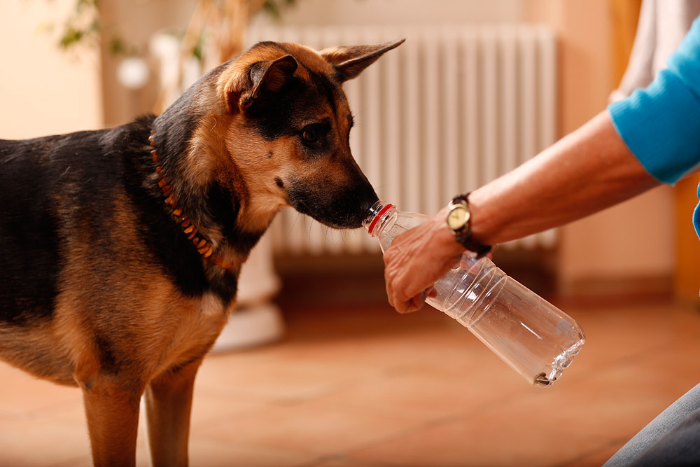 Minikurs – 4 Denkspiele mit PET Flaschen für schnell mal zwischendurch