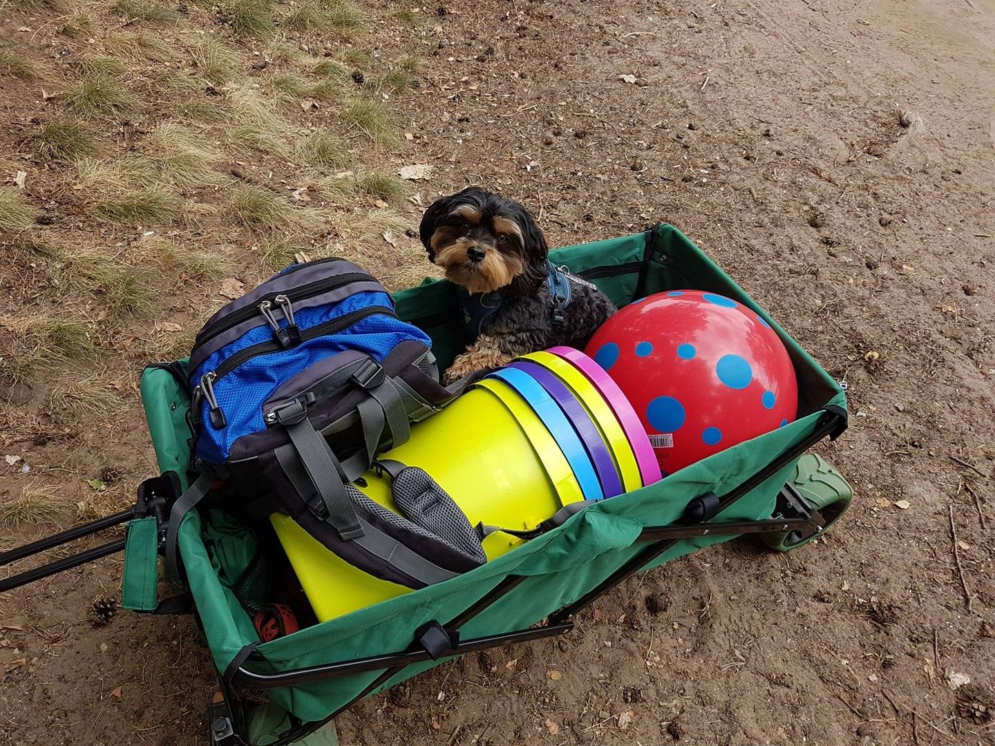 Oskar mit Bollerwagen