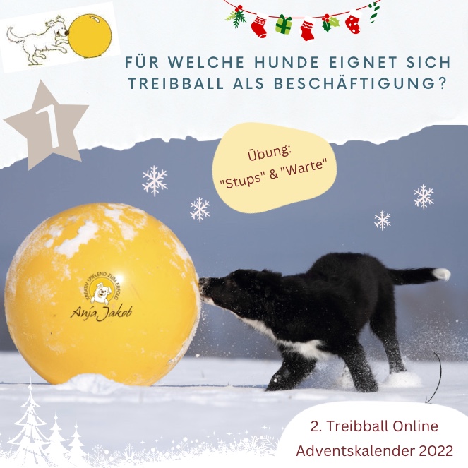 TB Advent - Tuerchen 1