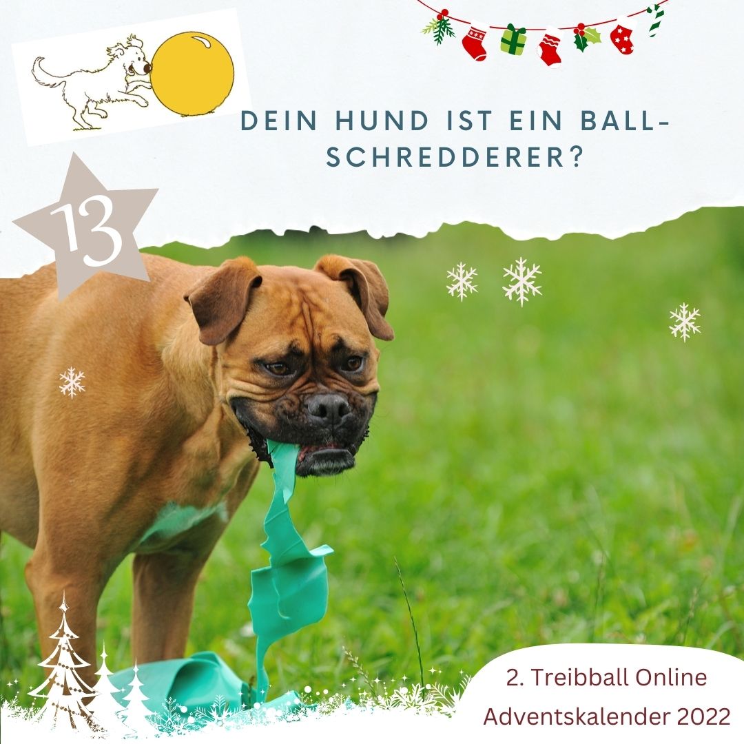TB Advent - Tuerchen 13