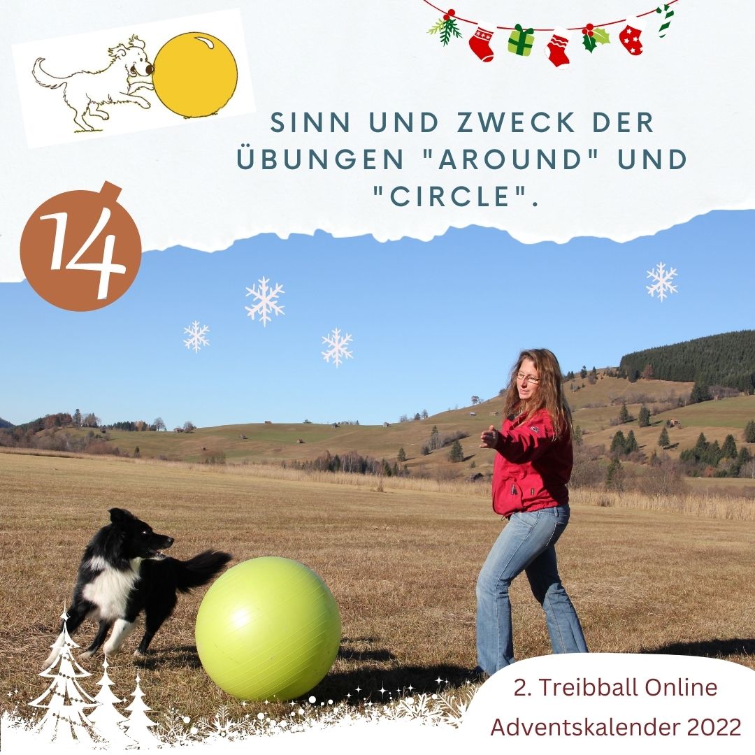 TB Advent - Tuerchen 14