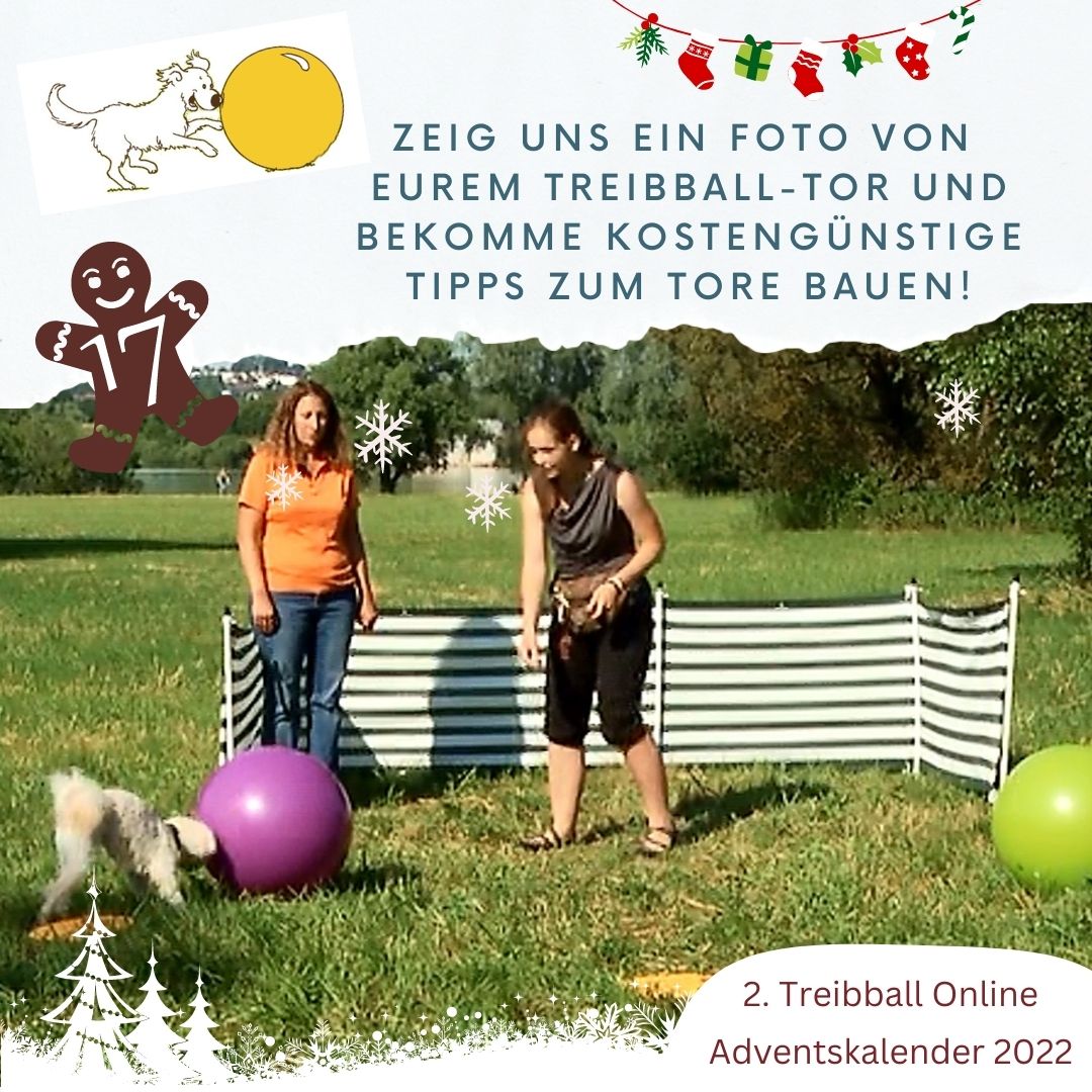 TB Advent - Tuerchen 17
