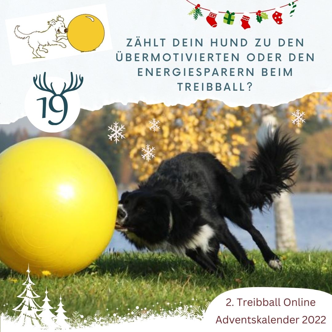 TB Advent - Tuerchen 19