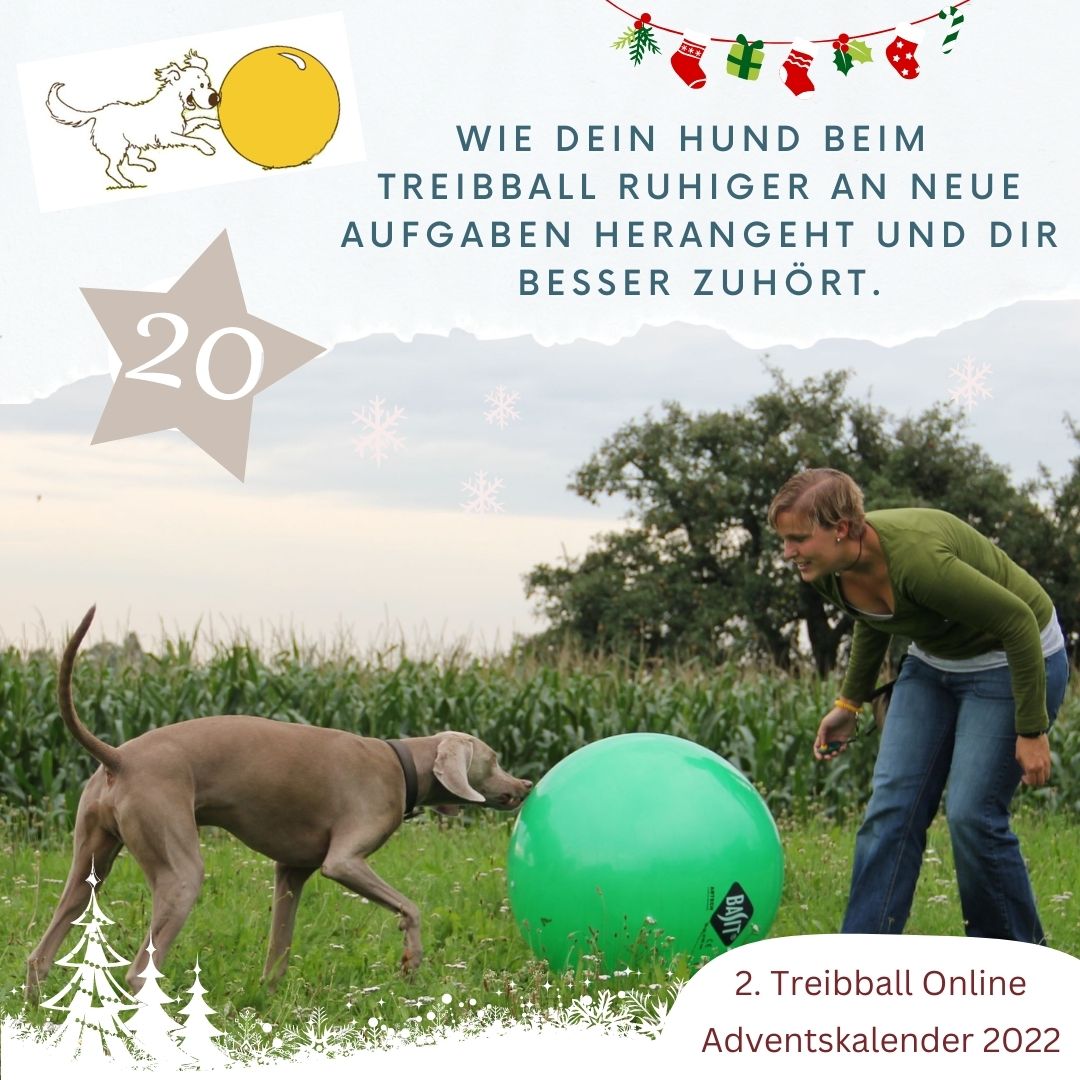 TB Advent - Tuerchen 20