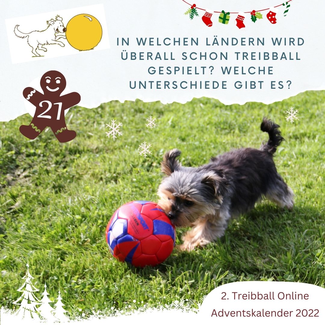 TB Advent - Tuerchen 21