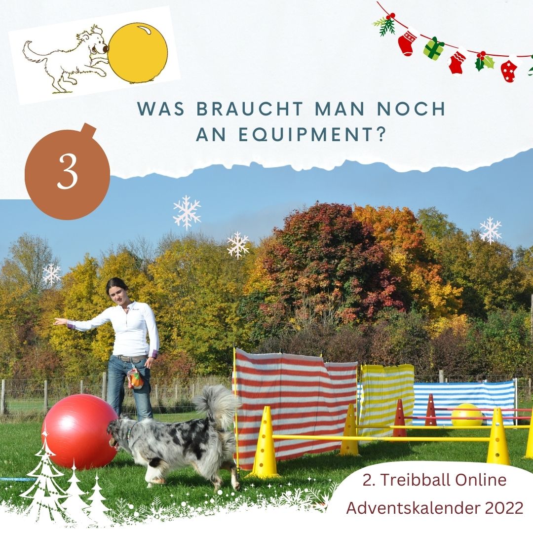 TB Advent - Tuerchen 3