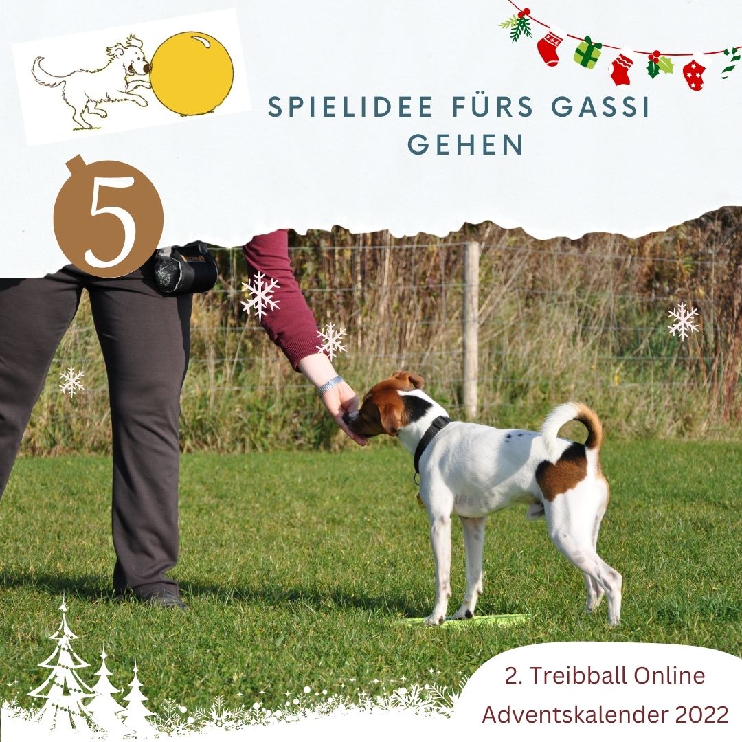 TB Advent - Tuerchen 5