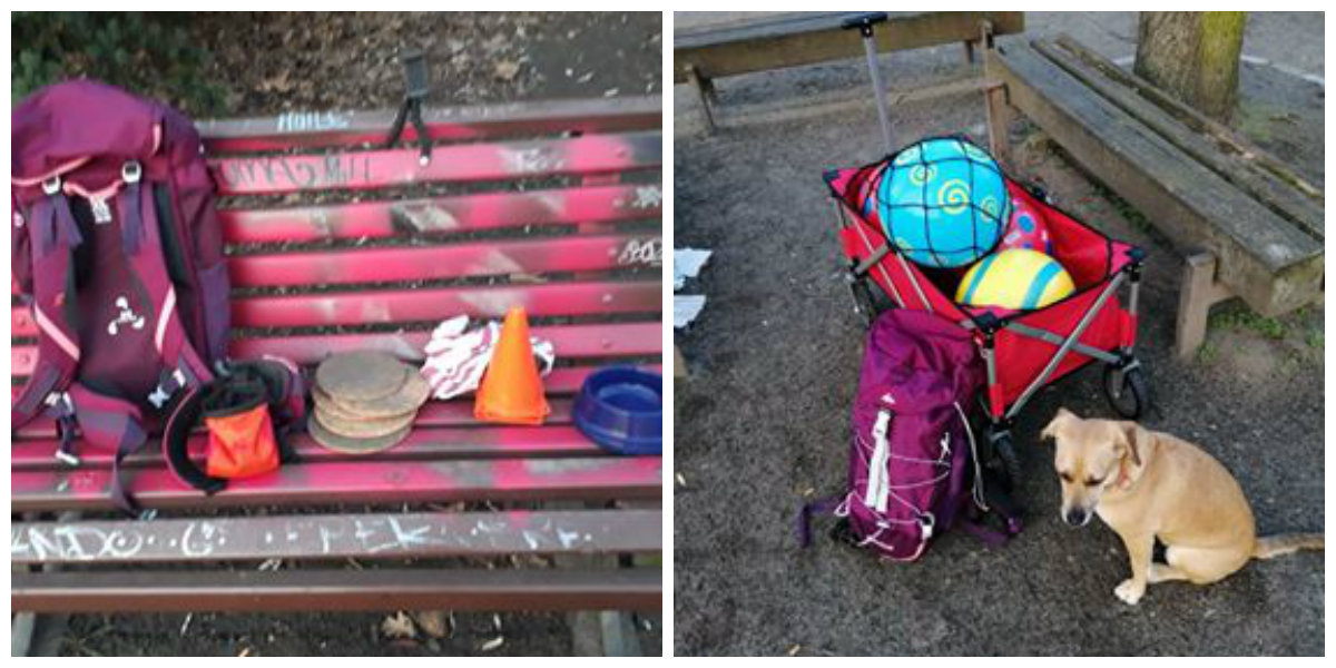 Treibball mitten in Berlin mit Cara
