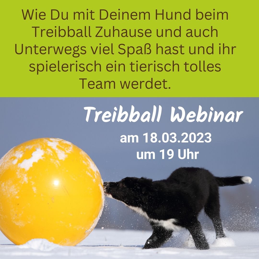 Webinar Treibballspass - Grafik fuer Landingpage