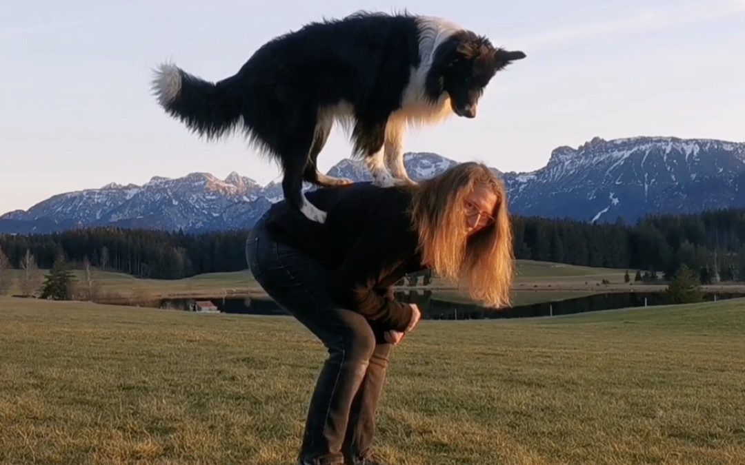 4 tolle Tricks mit verschiedenen Sprüngen