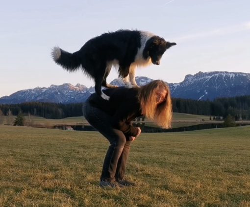 4 tolle Tricks mit verschiedenen Sprüngen - Selbstlernkurs