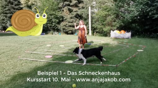 CLUB: Kreatives Longieren und KreaDiNA - (monatliche zahlweise) – Bild 10