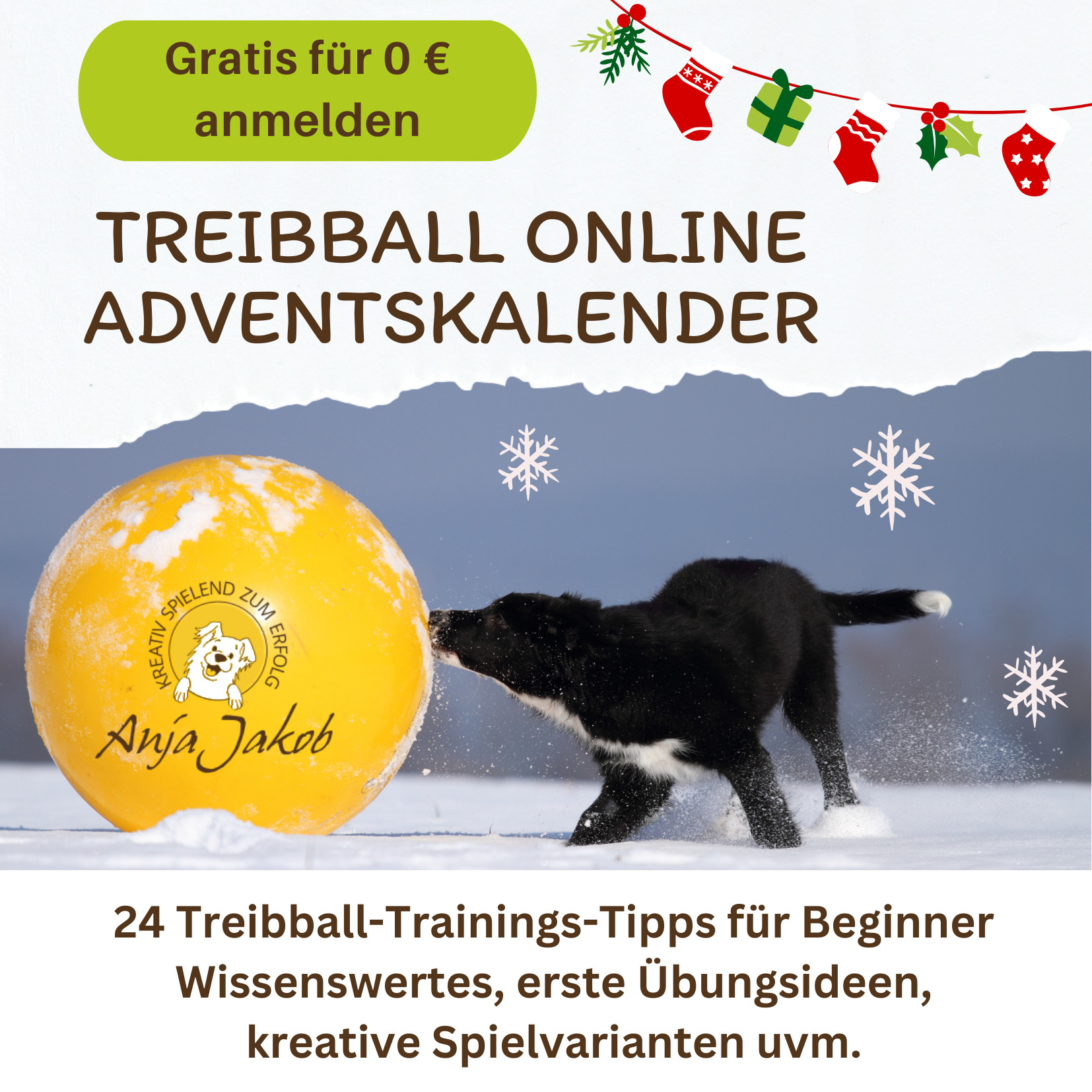 Treibball Adventskalender Titel Malouk