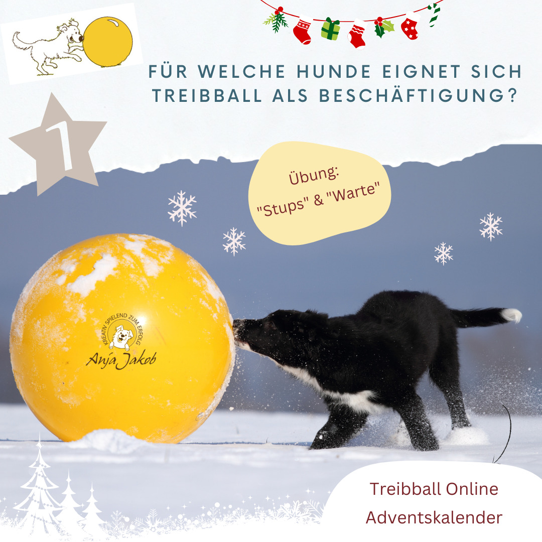 Adventskalender Tuerchen 1 - Stups und Warte