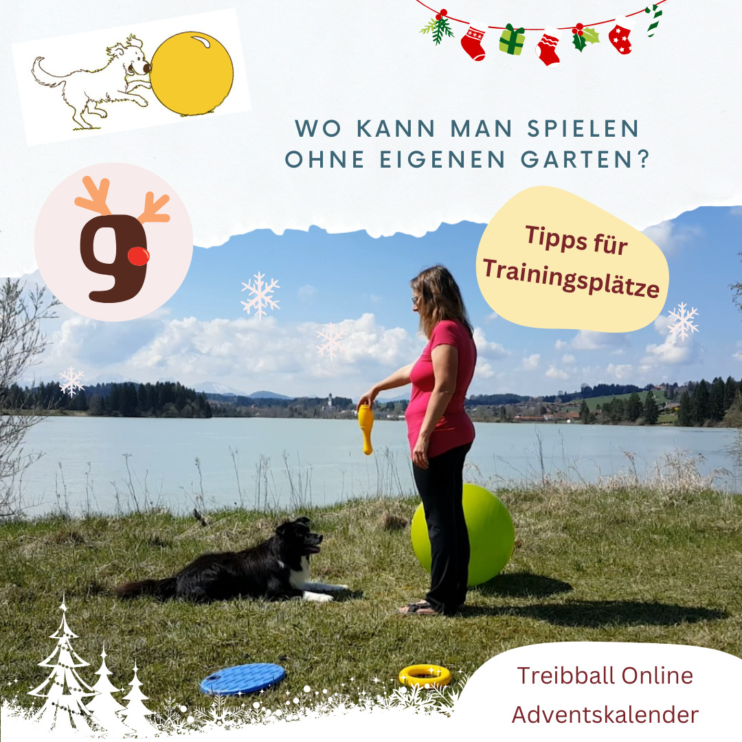Adventskalender Tuerchen 10 - Trainingsplatze