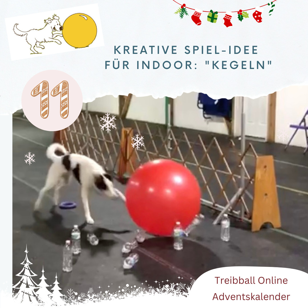Adventskalender Tuerchen 11 - Indoor Kegeln