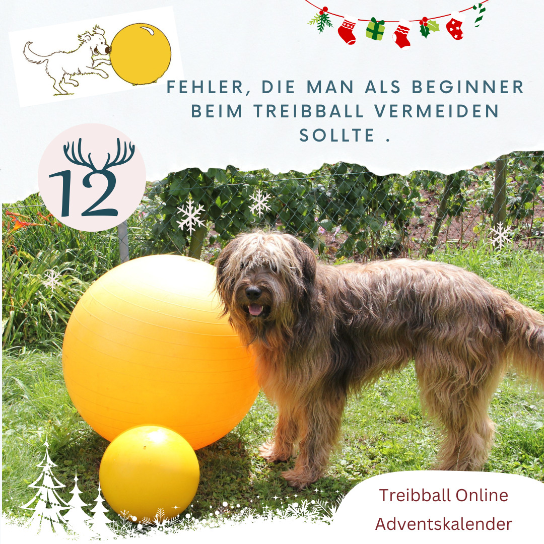 Adventskalender Tuerchen 12 - Ferkelball