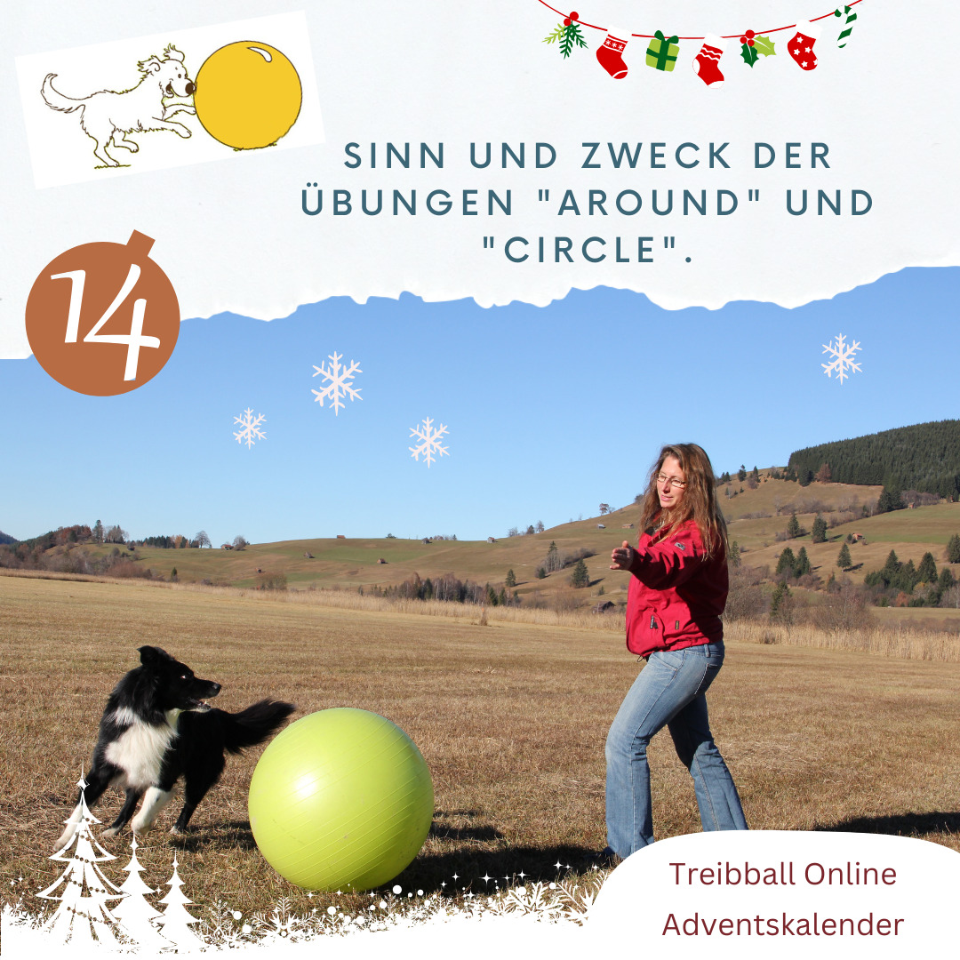 Adventskalender Tuerchen 14 - Around und Circle