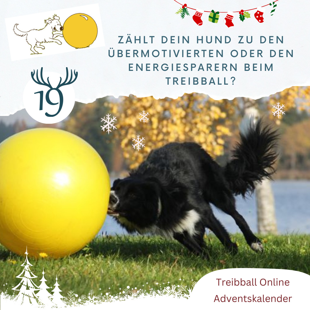 Adventskalender Tuerchen 19 - Energiesparer oder uebermotiviert