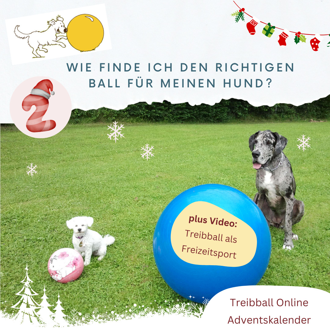 Adventskalender Tuerchen 2 - Ballwahl